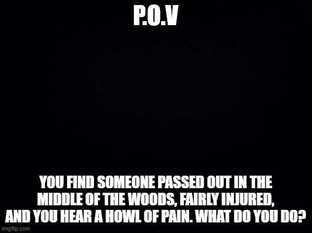 Would you help, or not? | P.O.V; YOU FIND SOMEONE PASSED OUT IN THE MIDDLE OF THE WOODS, FAIRLY INJURED, AND YOU HEAR A HOWL OF PAIN. WHAT DO YOU DO? | image tagged in black background,oc,roleplaying,i have no idea what i am doing | made w/ Imgflip meme maker