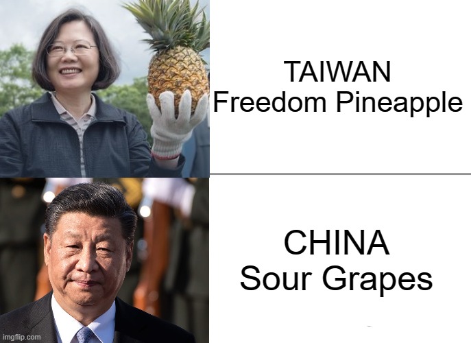 Taiwan is not now, nor has it ever been, part of the People's Republic of China. | TAIWAN
Freedom Pineapple; CHINA
Sour Grapes | image tagged in taiwan,china | made w/ Imgflip meme maker
