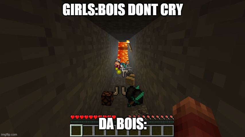 minecraft boys | GIRLS:BOIS DONT CRY; DA BOIS: | image tagged in boys vs girls | made w/ Imgflip meme maker