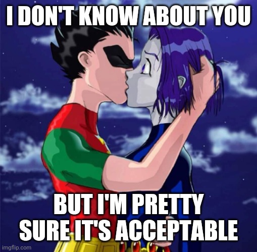 Robin Raven | I DON'T KNOW ABOUT YOU; BUT I'M PRETTY SURE IT'S ACCEPTABLE | image tagged in robin raven | made w/ Imgflip meme maker