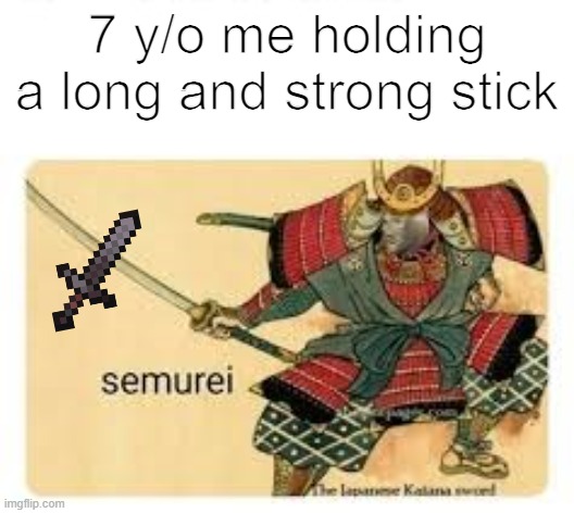 Yes | 7 y/o me holding a long and strong stick | image tagged in semurei,gaming,fun,7 y/o me | made w/ Imgflip meme maker