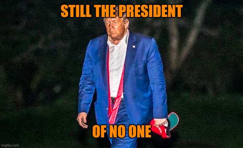 Defeated Trump Meme | STILL THE PRESIDENT; OF NO ONE | image tagged in defeated trump meme | made w/ Imgflip meme maker