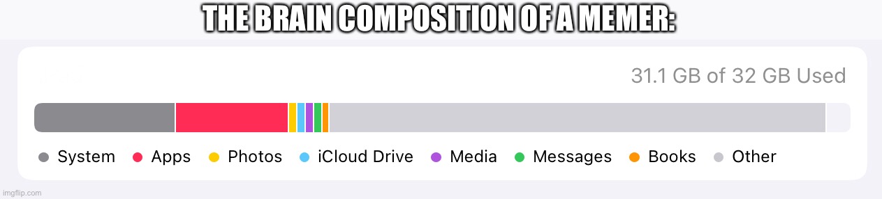 Our brain breakdown: | THE BRAIN COMPOSITION OF A MEMER: | image tagged in funny memes,brain,brain composition,memers,brain breakdown,mental breakdown | made w/ Imgflip meme maker