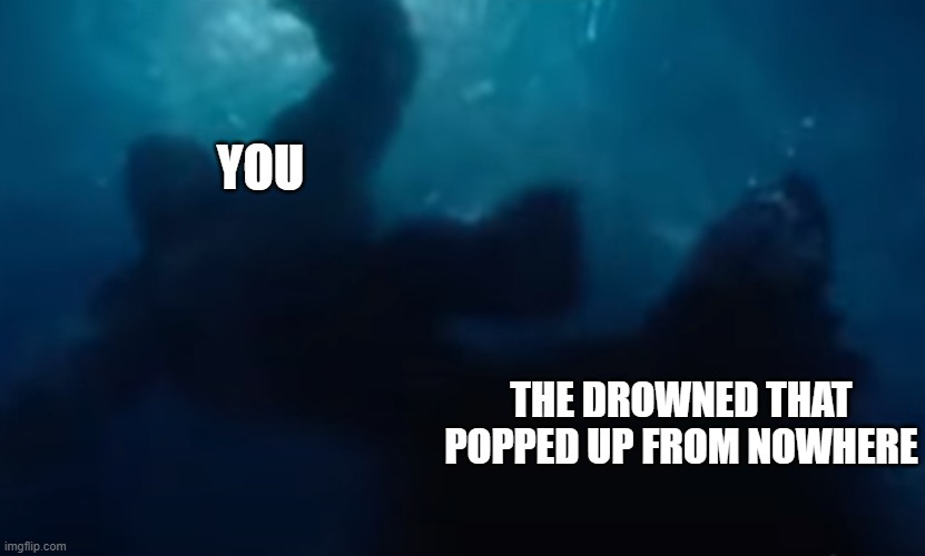 You vs Drowned | YOU; THE DROWNED THAT POPPED UP FROM NOWHERE | image tagged in minecraft | made w/ Imgflip meme maker