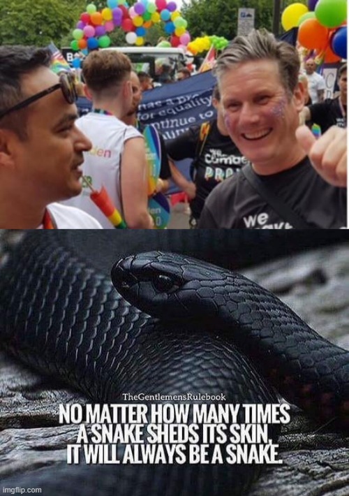Different skin - same snake ! | image tagged in labour party | made w/ Imgflip meme maker