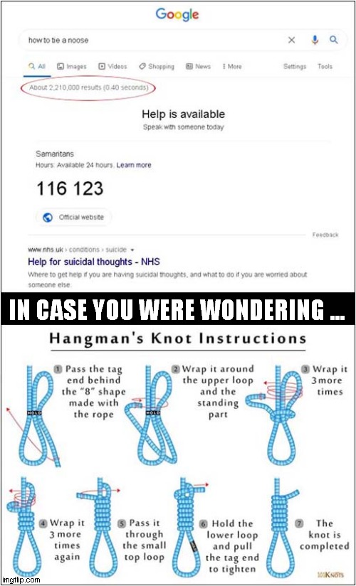 Noose Tying - Help Available ? | IN CASE YOU WERE WONDERING ... | image tagged in noose,help,knots | made w/ Imgflip meme maker