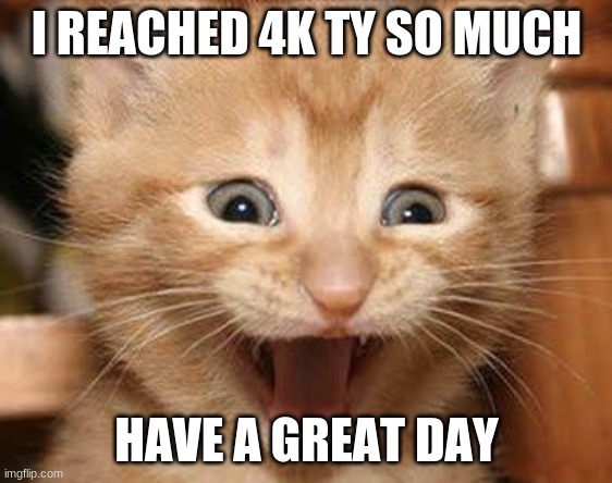 my newest achivement | I REACHED 4K TY SO MUCH; HAVE A GREAT DAY | image tagged in memes,excited cat | made w/ Imgflip meme maker