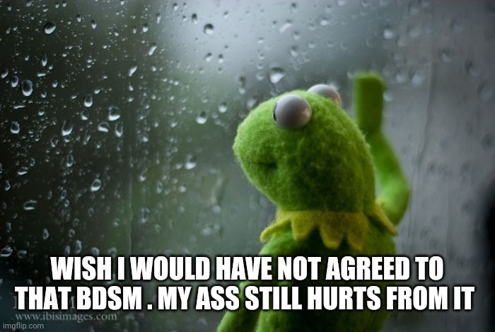 kermit window | WISH I WOULD HAVE NOT AGREED TO THAT BDSM . MY ASS STILL HURTS FROM IT | image tagged in kermit window | made w/ Imgflip meme maker