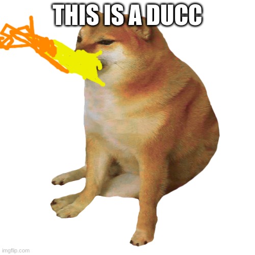 cheems | THIS IS A DUCC | image tagged in cheems | made w/ Imgflip meme maker