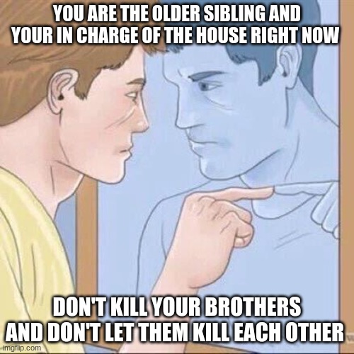 Pointing mirror guy | YOU ARE THE OLDER SIBLING AND YOUR IN CHARGE OF THE HOUSE RIGHT NOW; DON'T KILL YOUR BROTHERS AND DON'T LET THEM KILL EACH OTHER | image tagged in pointing mirror guy | made w/ Imgflip meme maker