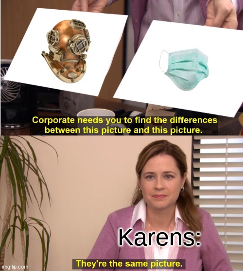 They're The Same Picture | Karens: | image tagged in memes,they're the same picture | made w/ Imgflip meme maker