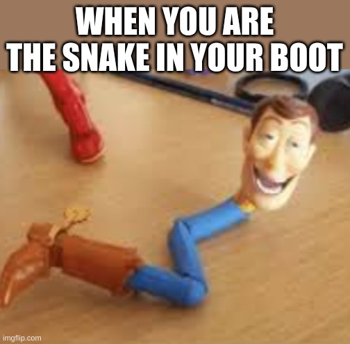 WHEN YOU ARE THE SNAKE IN YOUR BOOT | made w/ Imgflip meme maker