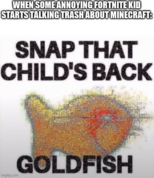Casually approach child, grasp child firmly, snap that child's back. | WHEN SOME ANNOYING FORTNITE KID STARTS TALKING TRASH ABOUT MINECRAFT: | image tagged in snap that child's back goldfish,funny memes,funny,gaming,memes | made w/ Imgflip meme maker