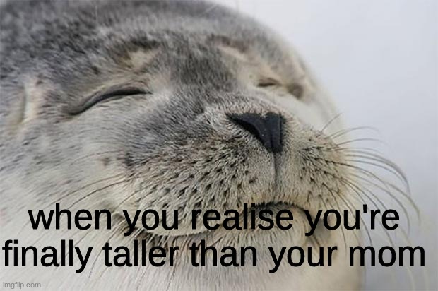aww yeah 5ft 3 baby | when you realise you're finally taller than your mom | image tagged in memes,satisfied seal | made w/ Imgflip meme maker