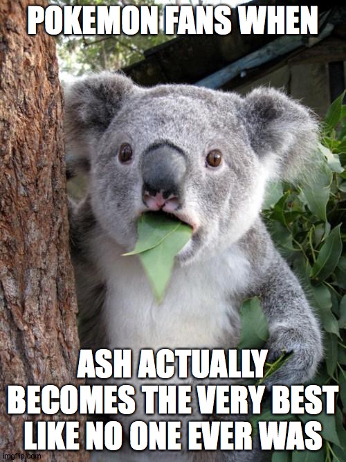SURPRISED AS HECK | POKEMON FANS WHEN; ASH ACTUALLY BECOMES THE VERY BEST LIKE NO ONE EVER WAS | image tagged in memes,surprised koala | made w/ Imgflip meme maker
