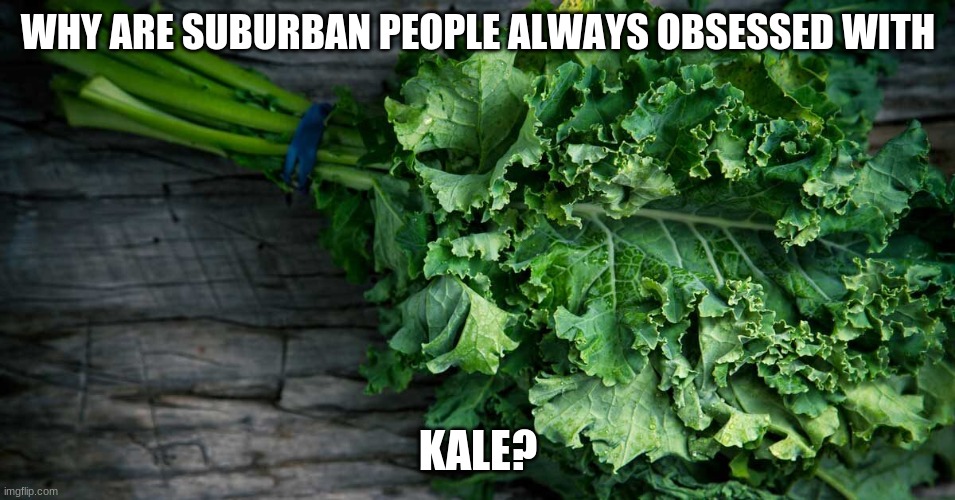 I don't get it | WHY ARE SUBURBAN PEOPLE ALWAYS OBSESSED WITH; KALE? | made w/ Imgflip meme maker