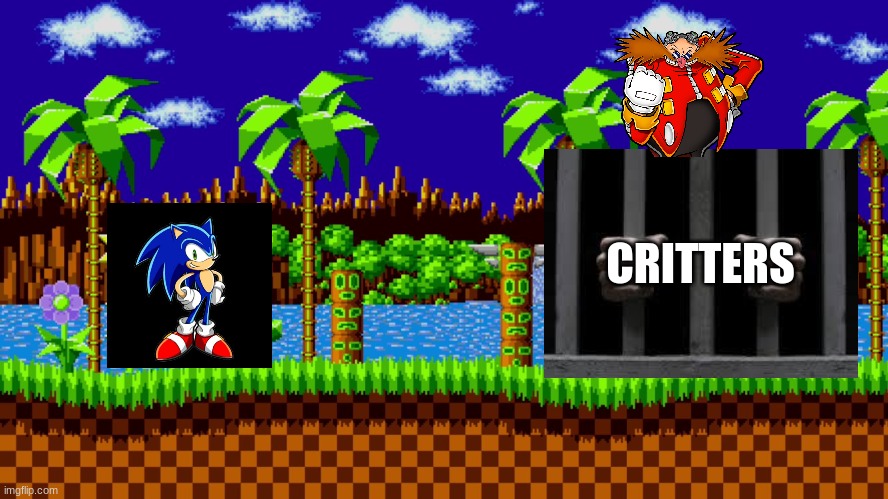 Sonic Vs. Eggman | CRITTERS | image tagged in green hill zone | made w/ Imgflip meme maker