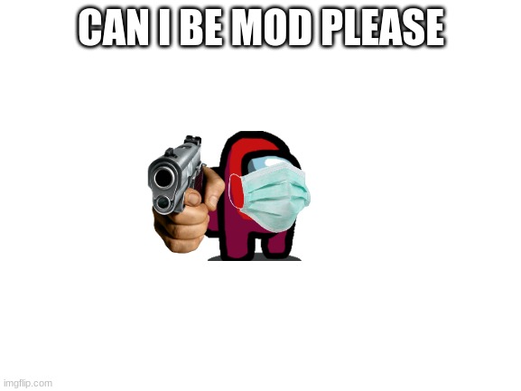 pls | CAN I BE MOD PLEASE | image tagged in blank white template | made w/ Imgflip meme maker