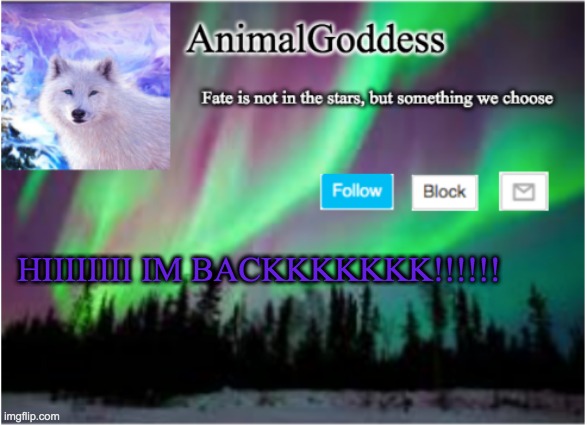 IM BACK | HIIIIIIII IM BACKKKKKKK!!!!!! | image tagged in animalgoddess announcement template | made w/ Imgflip meme maker