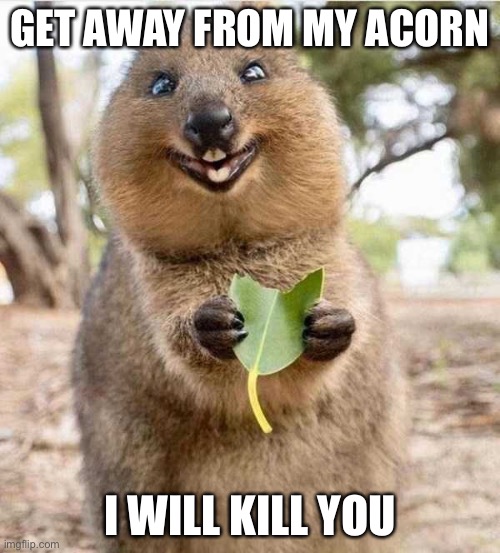 Heheheh | GET AWAY FROM MY ACORN; I WILL KILL YOU | image tagged in memes | made w/ Imgflip meme maker