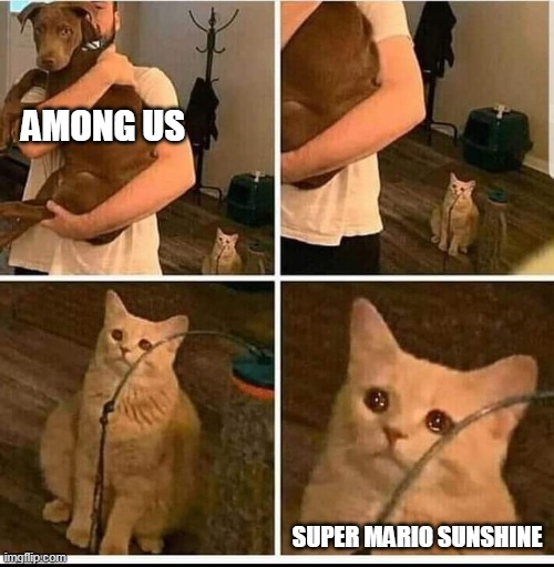 *cry* | AMONG US; SUPER MARIO SUNSHINE | image tagged in man holding dog but cat is sad | made w/ Imgflip meme maker