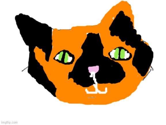 i tried drawing my cat | image tagged in blank white template | made w/ Imgflip meme maker