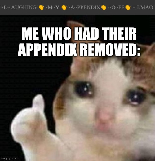 True story *wheeze* | ME WHO HAD THEIR APPENDIX REMOVED: | image tagged in sad thumbs up cat | made w/ Imgflip meme maker