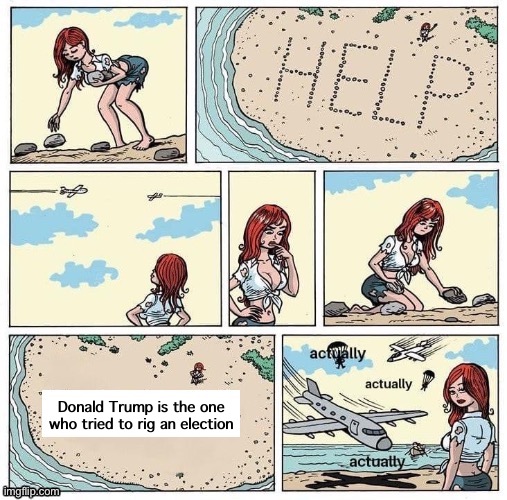 New template! | Donald Trump is the one who tried to rig an election | image tagged in stranded on desert island help actually | made w/ Imgflip meme maker