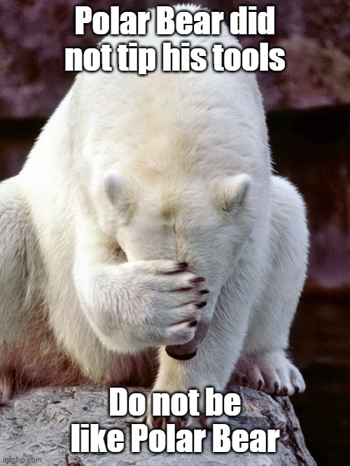Polar Bear Did Not Tip His Tools | Polar Bear did not tip his tools; Do not be like Polar Bear | image tagged in polar bear,cnc,tlo,tool offset,tool tipping | made w/ Imgflip meme maker