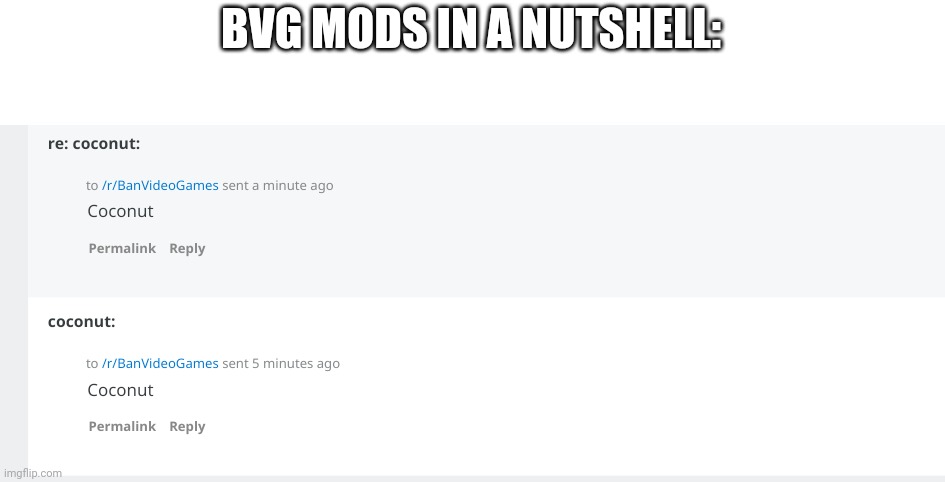 Bvg in a nutshell | BVG MODS IN A NUTSHELL: | image tagged in bvg in a nutshell | made w/ Imgflip meme maker