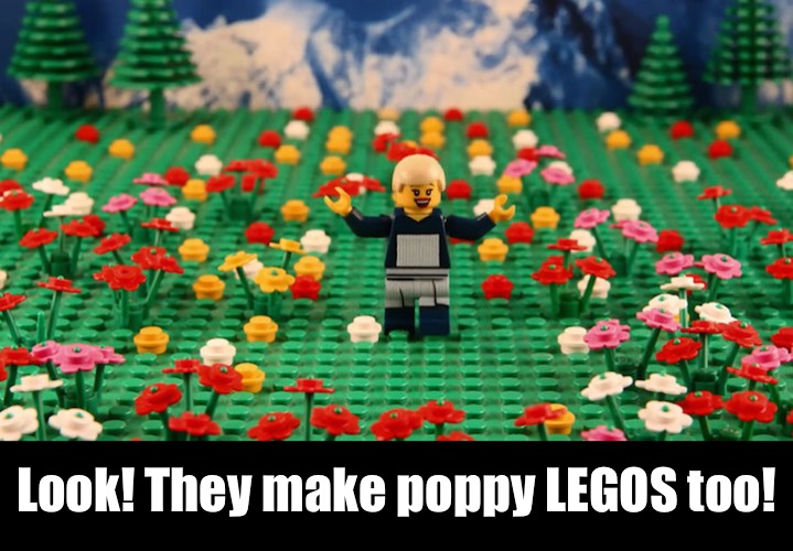 Look! They make poppy LEGOS too! | made w/ Imgflip meme maker