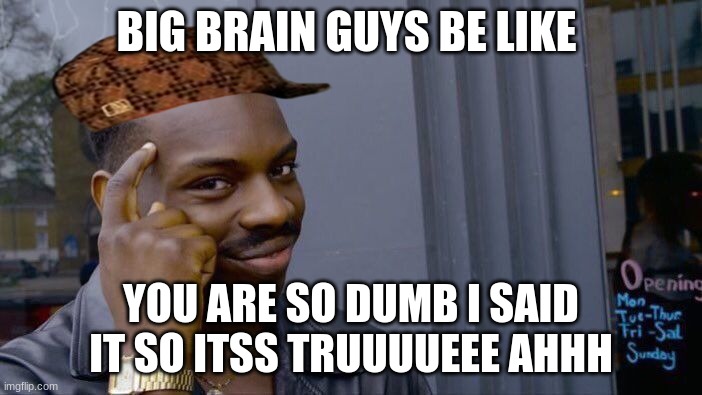 Roll Safe Think About It Meme | BIG BRAIN GUYS BE LIKE; YOU ARE SO DUMB I SAID IT SO ITSS TRUUUUEEE AHHH | image tagged in memes,roll safe think about it | made w/ Imgflip meme maker