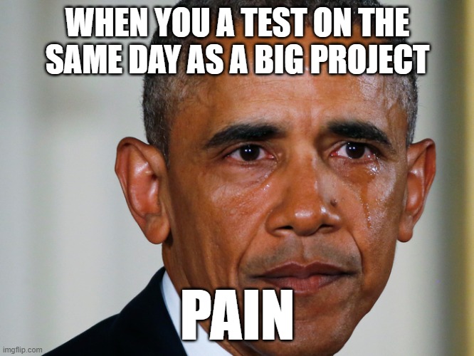 Soo much pain | WHEN YOU A TEST ON THE SAME DAY AS A BIG PROJECT; PAIN | image tagged in pain | made w/ Imgflip meme maker