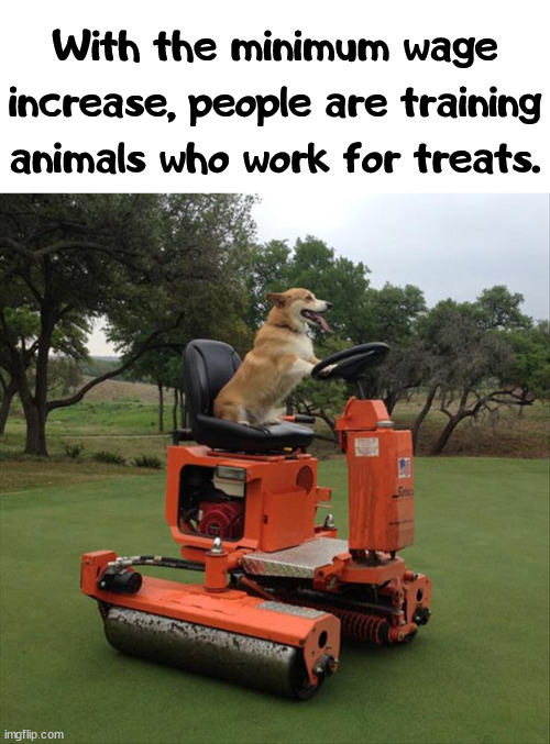 We need reparations for animals that have been our slaves. I am sure this is a thing. | With the minimum wage increase, people are training animals who work for treats. | image tagged in slavery,labor,minimum wage,political meme | made w/ Imgflip meme maker