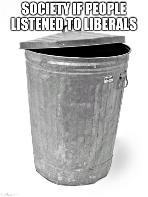 Trash Can | SOCIETY IF PEOPLE LISTENED TO LIBERALS | image tagged in trash can | made w/ Imgflip meme maker