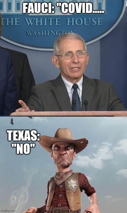 Politics and stuff | FAUCI: "COVID..... TEXAS: "NO" | image tagged in dr fauci | made w/ Imgflip meme maker