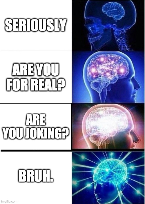 Expanding Brain Meme | SERIOUSLY; ARE YOU FOR REAL? ARE YOU JOKING? BRUH. | image tagged in memes,expanding brain | made w/ Imgflip meme maker