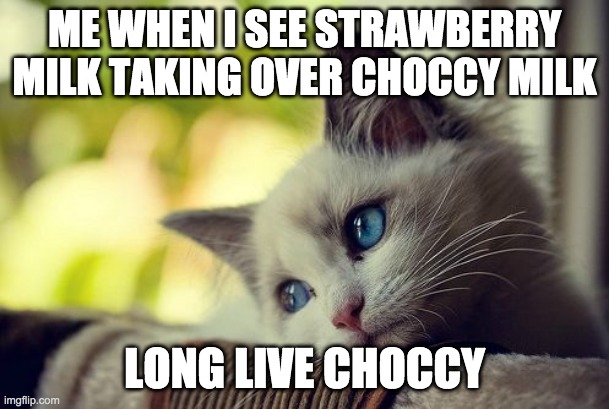 First World Problems Cat | ME WHEN I SEE STRAWBERRY MILK TAKING OVER CHOCCY MILK; LONG LIVE CHOCCY | image tagged in memes,first world problems cat | made w/ Imgflip meme maker