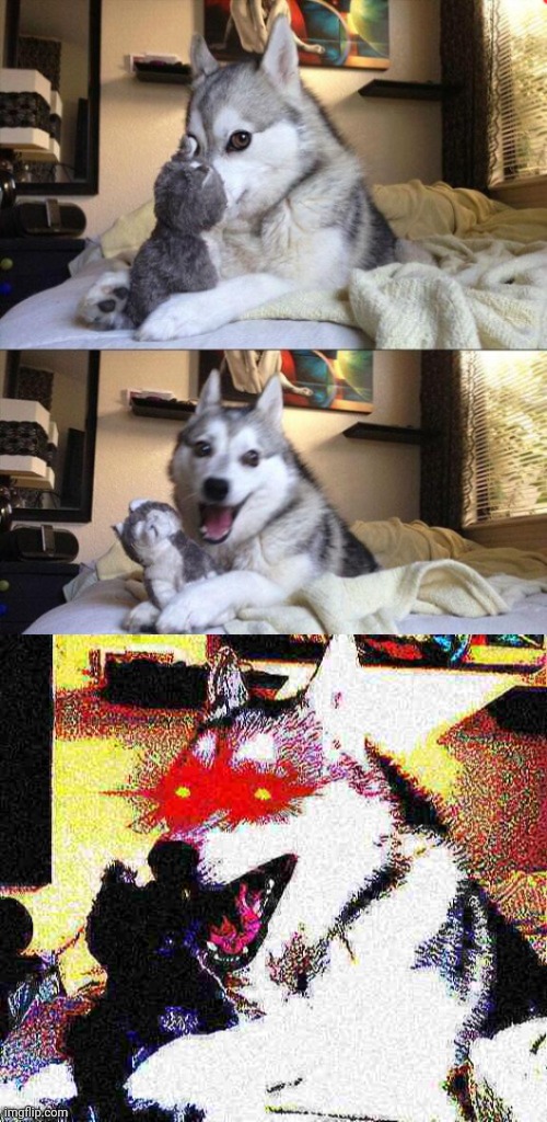 Bad joke dog deep fried Blank Meme Template