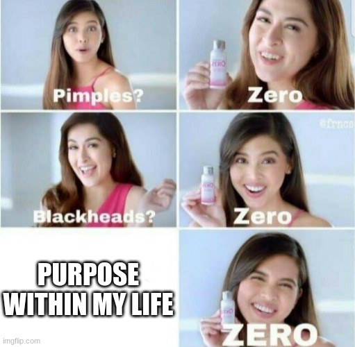 what's the point? | PURPOSE WITHIN MY LIFE | image tagged in pimples zero,sigh | made w/ Imgflip meme maker