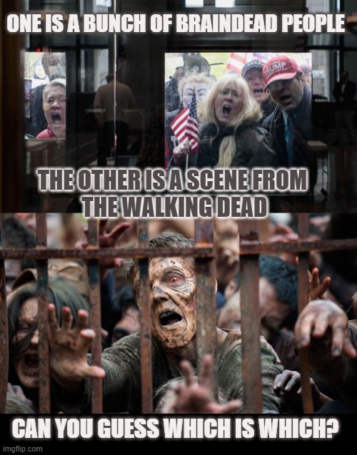 Some are really braindead | ONE IS A BUNCH OF BRAINDEAD PEOPLE; THE OTHER IS A SCENE FROM 
THE WALKING DEAD; CAN YOU GUESS WHICH IS WHICH? | image tagged in maga,twd | made w/ Imgflip meme maker