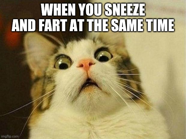 Scared Cat Meme | WHEN YOU SNEEZE AND FART AT THE SAME TIME | image tagged in memes,scared cat | made w/ Imgflip meme maker