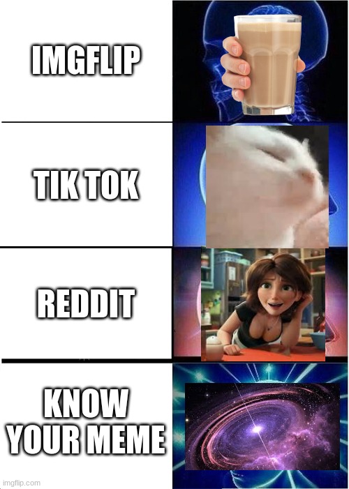 This meme is for intellectuals who use more than just imgflip | IMGFLIP; TIK TOK; REDDIT; KNOW YOUR MEME | image tagged in memes,expanding brain,reddit,imgflip,mittens | made w/ Imgflip meme maker