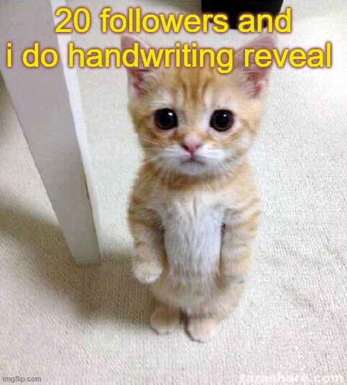20 followers and handwriting reveal or face reveal | 20 followers and i do handwriting reveal | image tagged in memes,cute cat | made w/ Imgflip meme maker