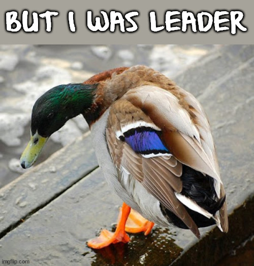 sad duck | BUT I WAS LEADER | image tagged in sad duck | made w/ Imgflip meme maker