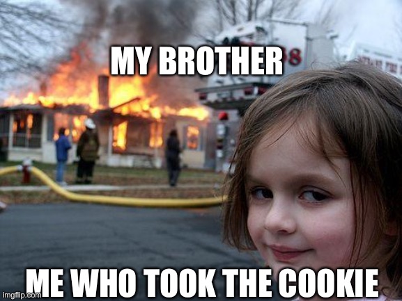 Disaster Girl | MY BROTHER; ME WHO TOOK THE COOKIE | image tagged in memes,disaster girl | made w/ Imgflip meme maker