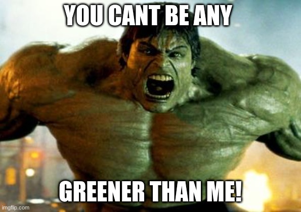 hulk | YOU CANT BE ANY GREENER THAN ME! | image tagged in hulk | made w/ Imgflip meme maker
