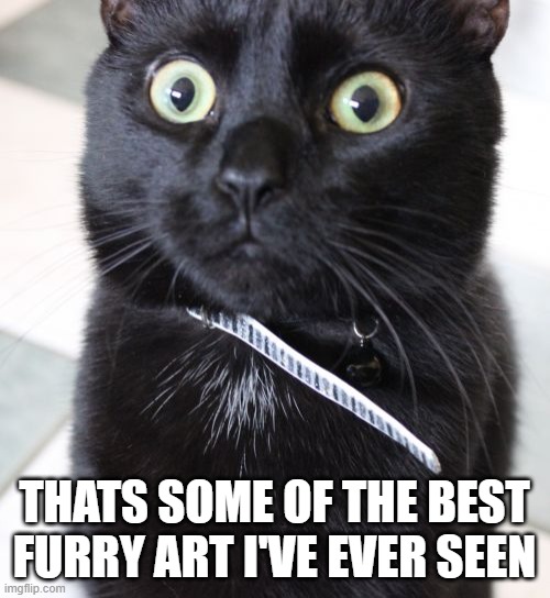 Woah Kitty Meme | THATS SOME OF THE BEST FURRY ART I'VE EVER SEEN | image tagged in memes,woah kitty | made w/ Imgflip meme maker