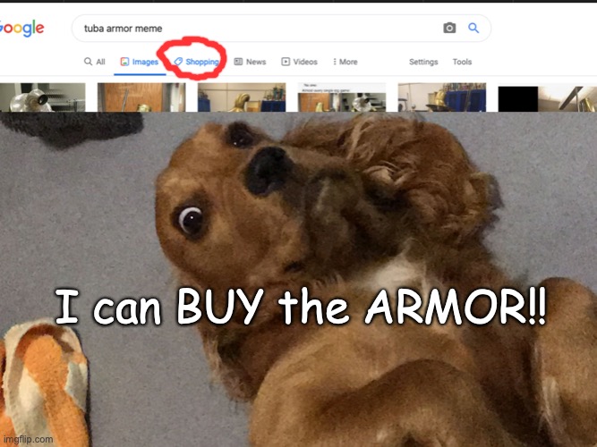 SHUT UP AND TAKE MY MONEY | I can BUY the ARMOR!! | image tagged in suprised dog,shut up and take my money fry | made w/ Imgflip meme maker