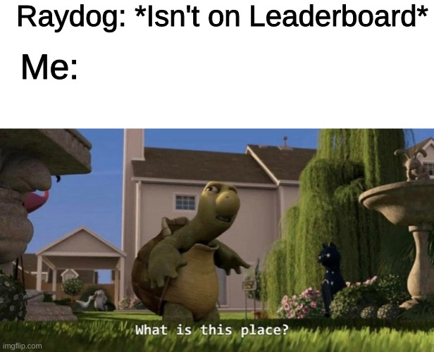 WHAT | Raydog: *Isn't on Leaderboard*; Me: | image tagged in blank white template,what is this place,funny,raydog,memes,turtle | made w/ Imgflip meme maker